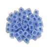 Frosted Acrylic European Beads OACR-G012-14E-3