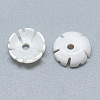 Freshwater Shell Beads SHEL-S275-041-2