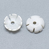 Freshwater Shell Beads SHEL-S275-041-2