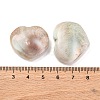 Natural Shiva Eye Shell Cabochons SHEL-H006-01A-3