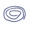 Transparent Glass Beads Strands GLAA-F094-A16-2