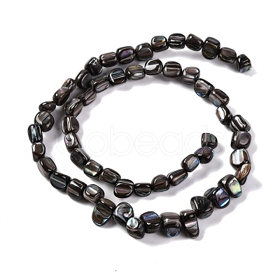 Natural Freshwater Shell Beads Strands BSHE-S304-06-1