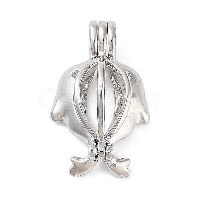 Alloy Bead Cage Pendants FIND-M012-01N-P-1