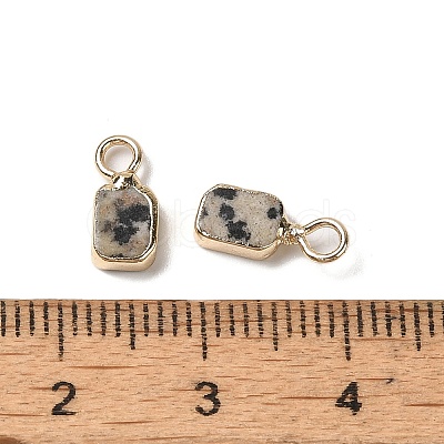 Natural Dalmatian Jasper Rectangle Charms G-Q169-07G-06-1