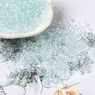 Transparent Colours Glass Seed Beads SEED-P007-02A-09-1