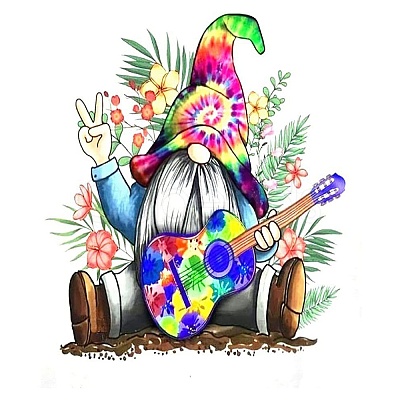 Gnome/Dwarf Flower Guitar Pattern DIY Diamond Painting Kit PW-WG94049-03-1