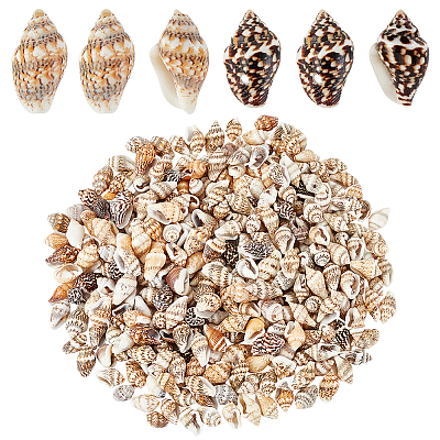 PandaHall Elite 230Pcs 2 Styles Natural Shell Beads BSHE-PH0001-39-1