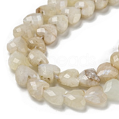 Natural Rainbow Moonstone Beads Strands G-P544-E06-01-1