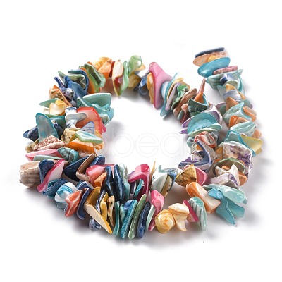 Natural Spiral Shell Beads BSHE-B003-17-1