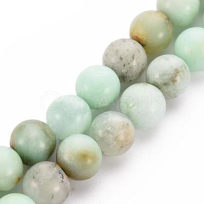 Natural Chrysoprase Beads Strands G-S333-8mm-037-1