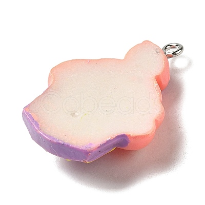 Opaque Resin Imitation Food Pendants FIND-Z006-05B-1