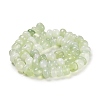 Natural New Jade Beads Strands G-G053-C02-01-3