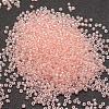 6/0 Glass Seed Beads X-SEED-J012-F6-L116-2