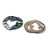 Natural Paua Shell Pendants Geometric Charms SSHEL-N038-01B-2