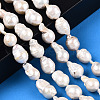Natural Baroque Pearl Keshi Pearl Beads Strands PEAR-S019-02E-01-2