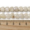 Natural Rainbow Moonstone Beads Strands G-P544-E06-01-5