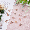 SUPERFINDINGS 12Pcs Star Brooch Pin JEWB-FH0001-43-5