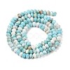 Natural Howlite Beads Strands G-H025-03D-09-3