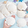 Natural Shell Display Decorations SSHEL-WH0001-39D-3