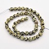 Natural Dalmation Jasper Beads Strands X-G-G542-8mm-07-2