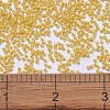 MIYUKI Delica Beads SEED-JP0008-DB2102-4