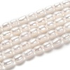 Natural Cultured Freshwater Pearl Beads Strands PEAR-L033-62-01-1