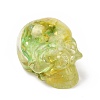 Natural Fluorite Skull Beads G-P490-02D-1