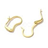 Brass Hoop Earring Findings FIND-Z039-30G-2