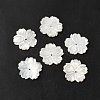 Natural White Shell Beads SHEL-M021-08A-2