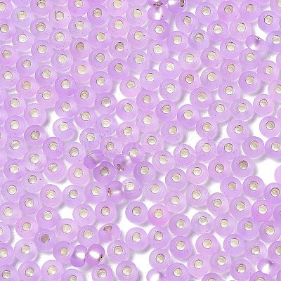 8/0 Glass Seed Beads SEED-Z001-C-E16-1