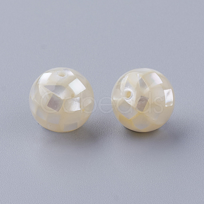 Natural White Shell Beads X-SSHEL-Q298-12mm-08-1