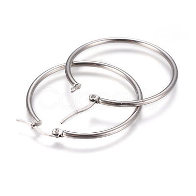 Tarnish Resistant 201 Stainless Steel Hoop Earrings EJEW-F237-02A-P-1