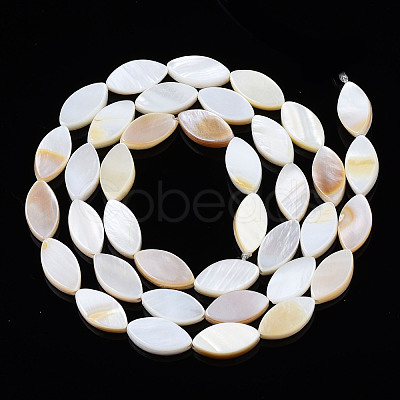 Natural Freshwater Shell Beads Strands SHEL-Q024A-017-1