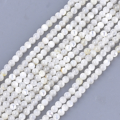 Natural White Shell Beads SHEL-T012-49B-1