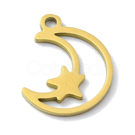 304 Stainless Steel Charms STAS-C097-23G-1