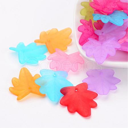 Mixed Transparent Maple Leaf Frosted Acrylic Pendants X-FACR-R019-M-1