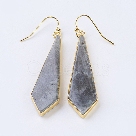 Natural Labradorite Dangle Earrings EJEW-P145-03A-1