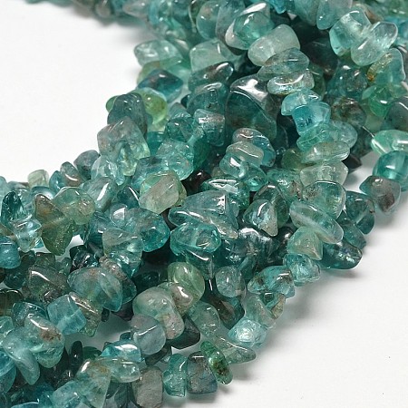 Polished Natural Apatite Chips Beads Strands X-G-O066-02-1