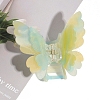 Double Butterfly Shape Cellulose Acetate(Resin) Claw Hair Clips PW-WG38307-04-1