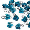 Faceted Transparent Glass Charms GLAA-T024-06D-1