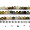 Natural New Jade Beads Strands G-F591-16-5MM-5