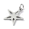 Non-Tarnish 304 Stainless Steel Pendants STAS-C097-67P-2