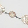 Natural Sea Shell Beaded Necklaces NJEW-L096-13A-4