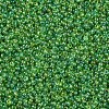 12/0 Grade A Round Glass Seed Beads SEED-Q010-F549-2