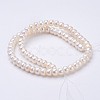 Natural Cultured Freshwater Pearl Beads Strands PEAR-P002-34-2
