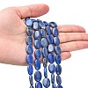 Natural Lapis Lazuli Beads Strands G-K311-12B-02-4