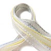 Polyester and Nylon Ribbon Sets DIY-Z029-01O-3