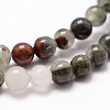 Natural African Bloodstone Beads Strands G-G735-32-10mm-3