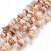 Natural Freshwater Shell Beads Strands SHEL-N026-210-1