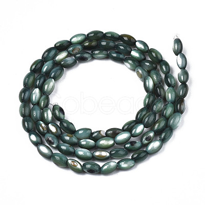 Natural Freshwater Shell Beads Strands SHEL-N003-25-B01-1